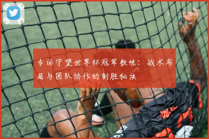 专访守望世界杯冠军教练:战术布局与团队协作的制胜秘诀