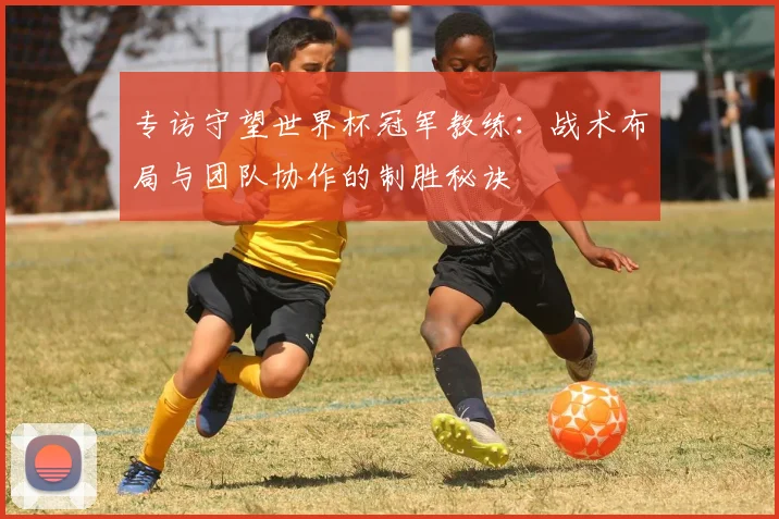 专访守望世界杯冠军教练:战术布局与团队协作的制胜秘诀
