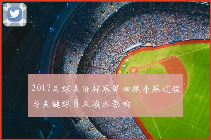 2017足球美洲杯冠军回顾夺冠过程与关键球员及战术影响