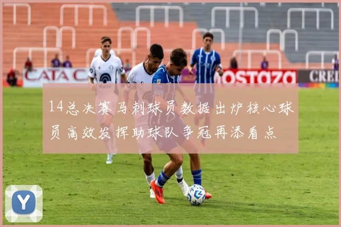 14总决赛马刺球员数据出炉核心球员高效发挥助球队争冠再添看点