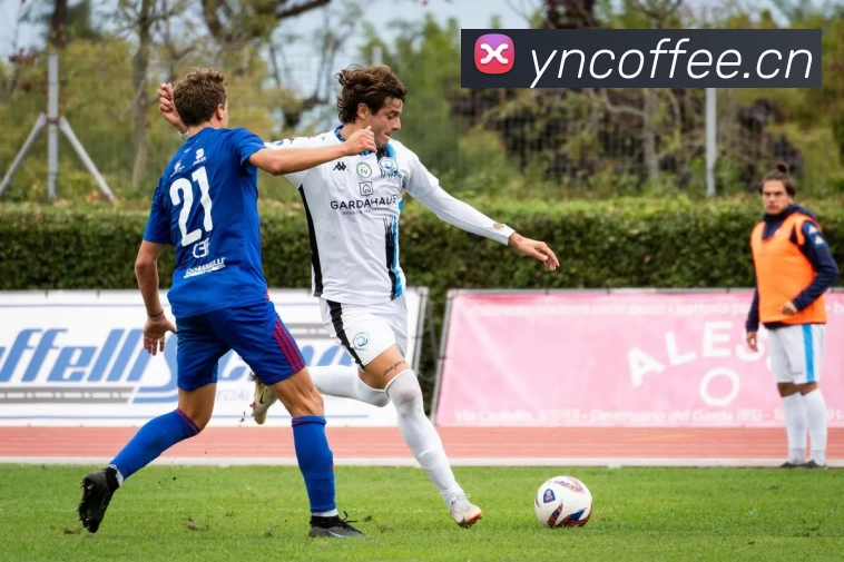 开云kaiyun官方版在线入口 - 开云(中国)APP 体育赛事宣传图